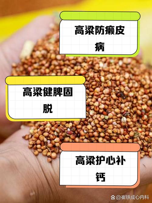 高粱的功效与作用，高粱的功效与作用吃法大全-第1张图片-优品飞百科