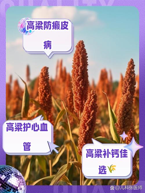 高粱的功效与作用，高粱的功效与作用吃法大全-第3张图片-优品飞百科