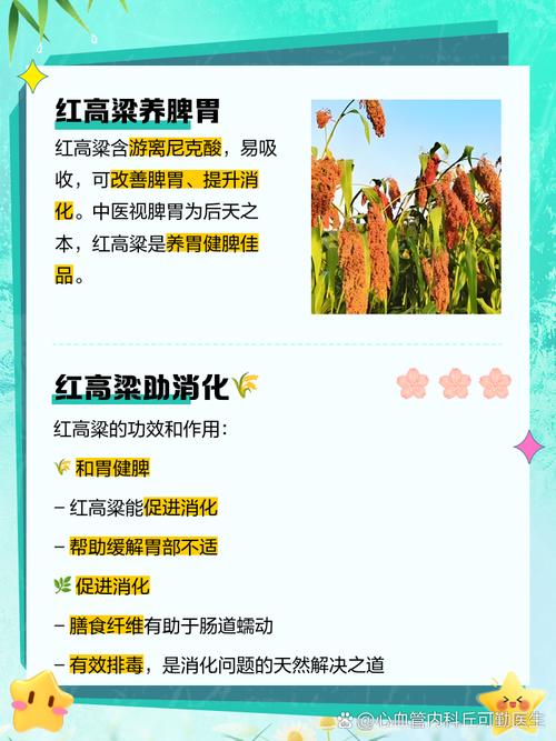 高粱的功效与作用，高粱的功效与作用吃法大全-第5张图片-优品飞百科