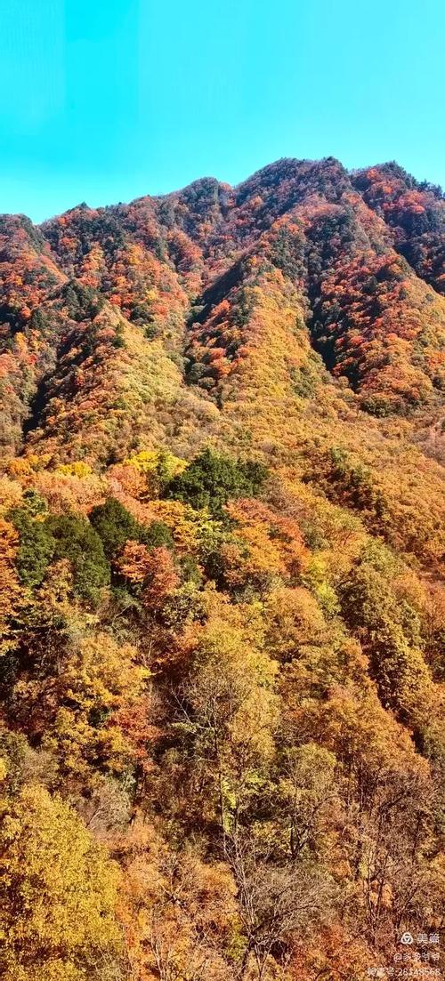 巴中15天天气预报，未来巴中15天天气预报？-第2张图片-优品飞百科