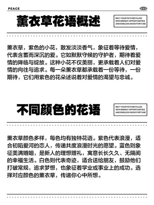 薰衣草代表什么意思,薰衣草代表的是什么-第2张图片-优品飞百科 薰衣草代表什么意思,薰衣草代表的是什么-第2张图片-优品飞百科