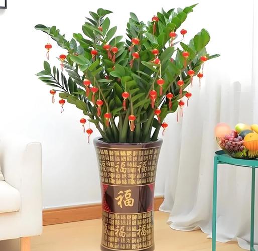 金钱树有毒吗？金钱树有毒吗能放室内吗？-第2张图片-优品飞百科