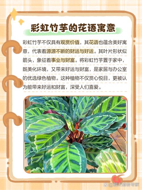 彩虹竹芋有毒吗，彩虹竹芋有毒吗可以养在家里吗视频？-第2张图片-优品飞百科