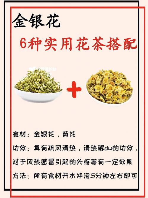 哪些人不能喝金银花茶，正确的饮用方法，金银花茶什么人不能喝-第8张图片-优品飞百科