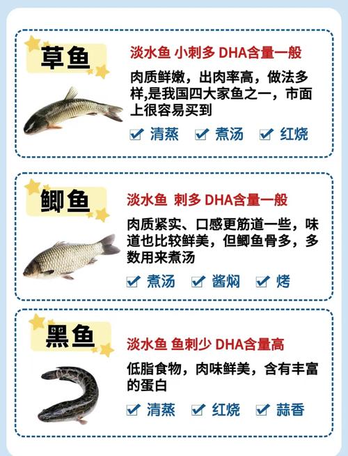 葵菜的养殖方法和注意事项，葵菜是什么植物？-第3张图片-优品飞百科