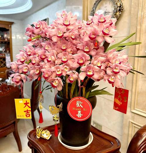 旺财运升事业转好运，全有植物来帮忙！，旺事业运转运的小妙招？-第4张图片-优品飞百科