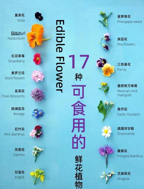 康乃馨可以吃吗，康乃馨花朵能吃吗？