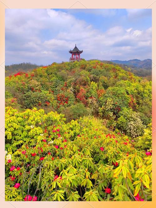 毕节七星关区天气预报？毕节七星关区天气预报15天查询百度？-第6张图片-优品飞百科