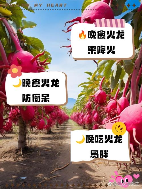 晚上吃火龙果好吗，晚上可以吃火龙果吗，晚上可以吃火龙果吗?会不会发胖-第6张图片-优品飞百科