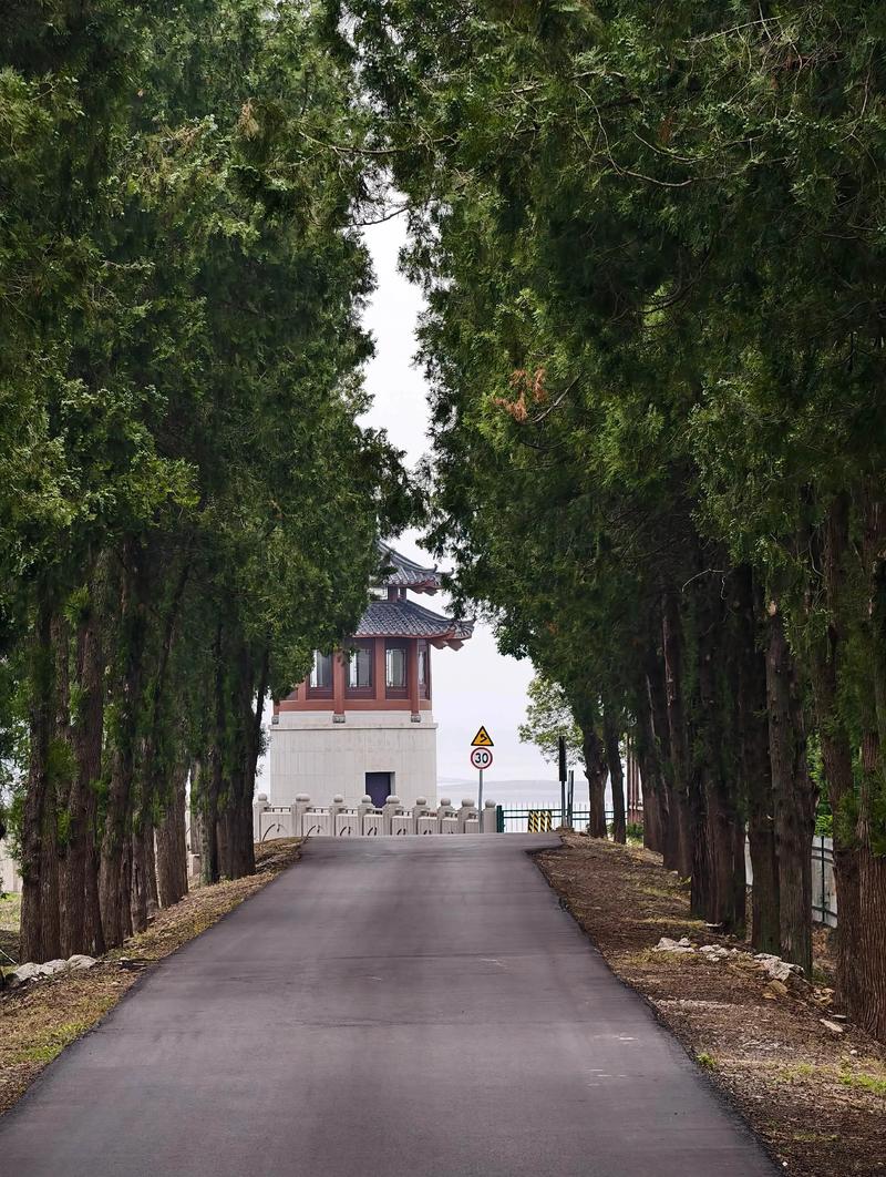 东宝区天气预报,东宝区天气预报30天准确一览表?-第4张图片-优品飞百科 东宝区天气预报,东宝区天气预报30天准确一览表?-第4张图片-优品飞百科