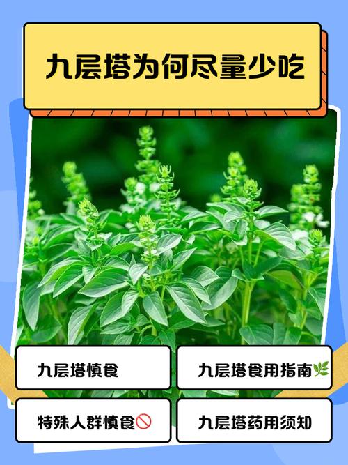 马约兰的花语和传说，马约尔花园的蓝是什么蓝色-第5张图片-优品飞百科