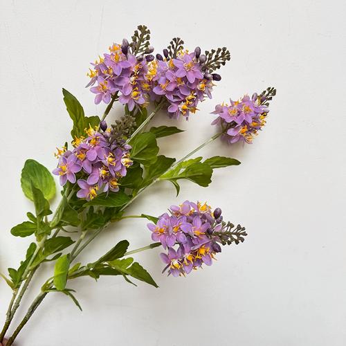 千屈菜的功效和作用？千屈菜的功效和作用是什么？-第6张图片-优品飞百科