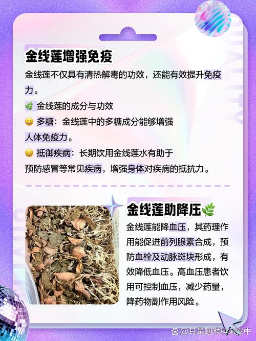 金线莲的功效与作用，金线莲图片，金线莲图片及功效与用法-第3张图片-优品飞百科
