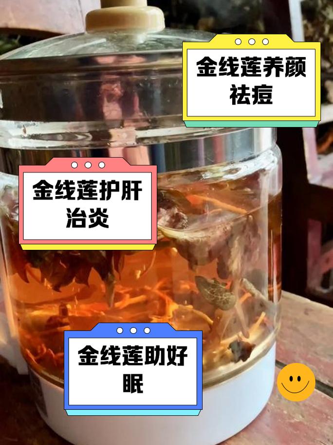 金线莲的功效与作用，金线莲图片，金线莲图片及功效与用法-第4张图片-优品飞百科