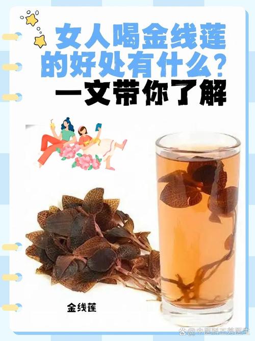 金线莲的功效与作用，金线莲图片，金线莲图片及功效与用法-第6张图片-优品飞百科