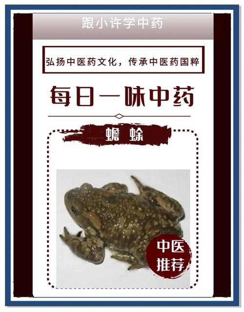 嚏根草有毒吗，能不能家养，臭嚏根草-第2张图片-优品飞百科