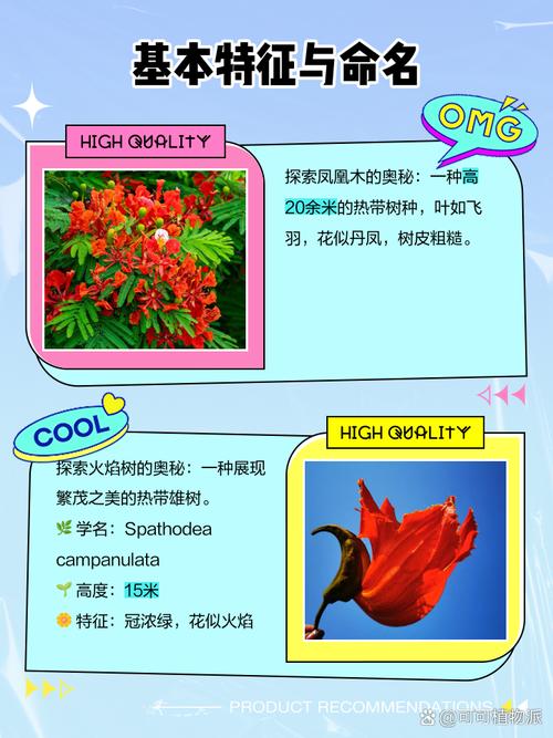 火焰树的价值，火焰树的果实能吃吗-第4张图片-优品飞百科