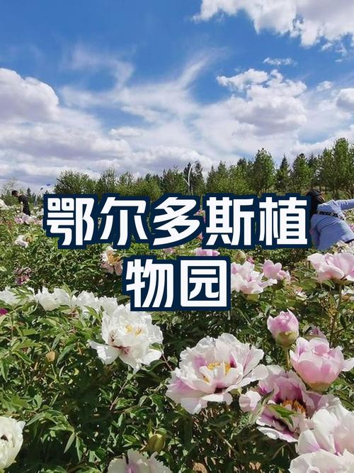 鄂州适合养什么花,市花和市树是什么?鄂州适合养什么花,市花和市树是什么花?-第1张图片-优品飞百科 鄂州适合养什么花,市花和市树是什么?鄂州适合养什么花,市花和市树是什么花?-第1张图片-优品飞百科