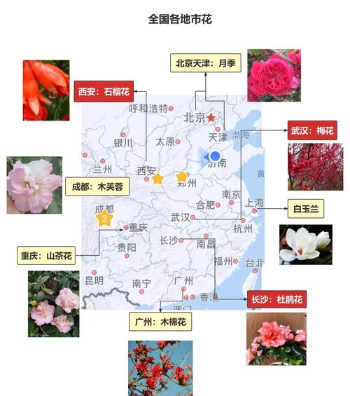 鄂州适合养什么花,市花和市树是什么?鄂州适合养什么花,市花和市树是什么花?-第4张图片-优品飞百科 鄂州适合养什么花,市花和市树是什么?鄂州适合养什么花,市花和市树是什么花?-第4张图片-优品飞百科