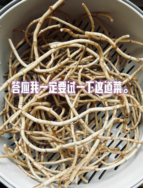 鱼腥草的食用方法，鱼腥草食用方法是这样的-第3张图片-优品飞百科