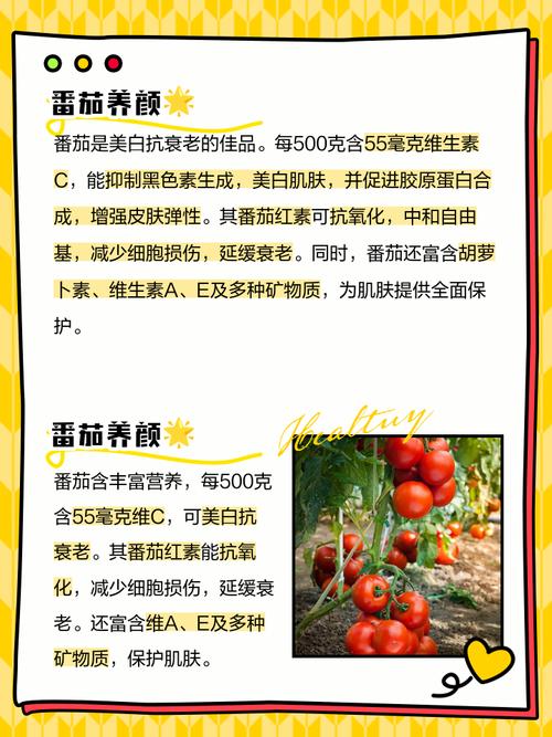 番茄的功效与作用，吃番茄的好处？番茄有何功效？-第5张图片-优品飞百科