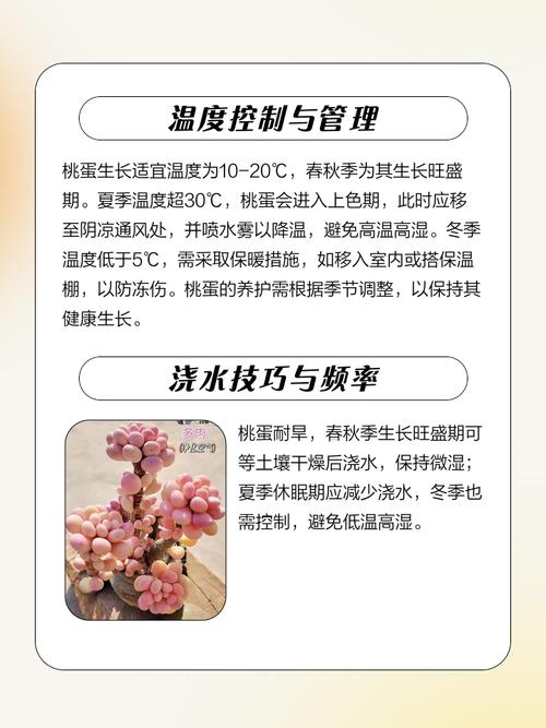 桃蛋的养殖方法和注意事项？桃蛋养护有妙招,三步轻松养出状态？-第2张图片-优品飞百科