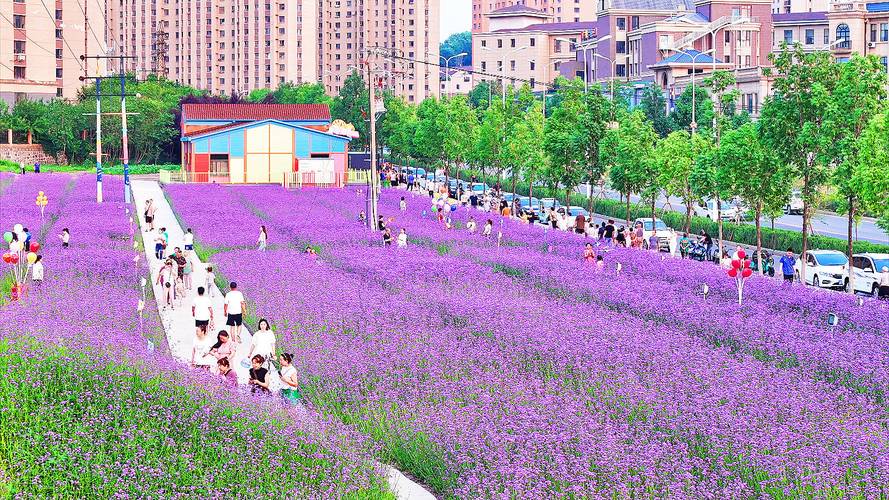 怒江适合养什么花，市花和市树是什么，云南怒江适合什么养殖？-第1张图片-优品飞百科