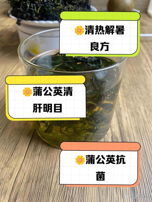 蒲公英的功效与作用，蒲公英的功效与作用及营养？-第2张图片-优品飞百科