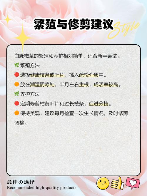 白脉椒草的养殖方法和注意事项，白脉椒草治什么病-第2张图片-优品飞百科