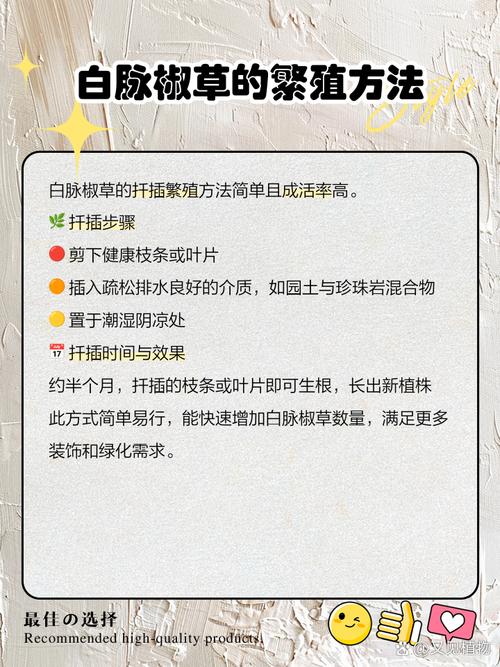 白脉椒草的养殖方法和注意事项，白脉椒草治什么病-第4张图片-优品飞百科