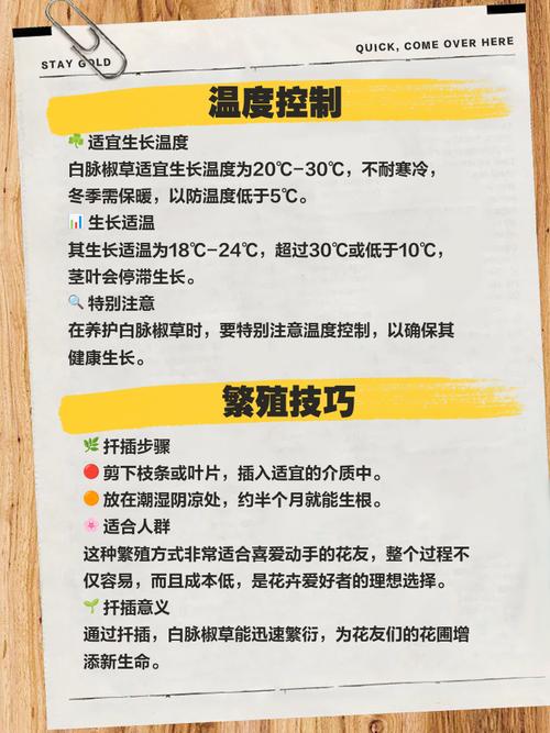 白脉椒草的养殖方法和注意事项，白脉椒草治什么病-第6张图片-优品飞百科