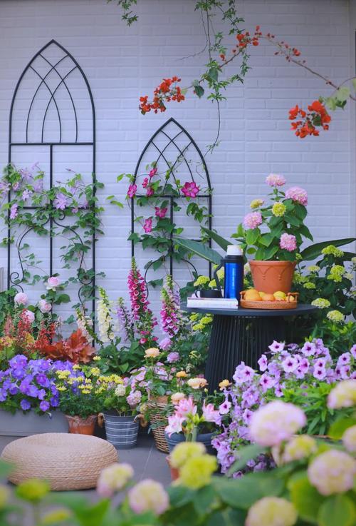 适合庭院种植的植物，适合庭院种植的植物图片-第4张图片-优品飞百科