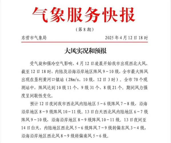 东营市天气预报15天，东营市天气预报十五天-第3张图片-优品飞百科
