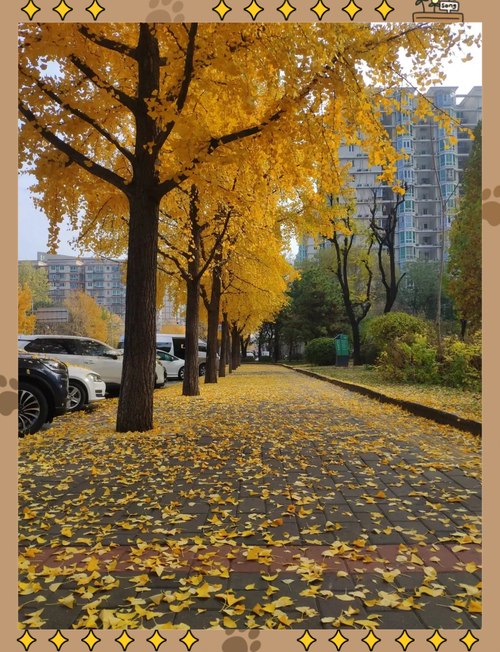 天气预报现在的海淀区实时？海淀天气实况？-第6张图片-优品飞百科