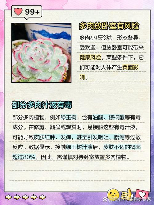 多肉植物对人体有害吗,多肉植物对身体有什么好处-第5张图片-优品飞百科 多肉植物对人体有害吗,多肉植物对身体有什么好处-第5张图片-优品飞百科