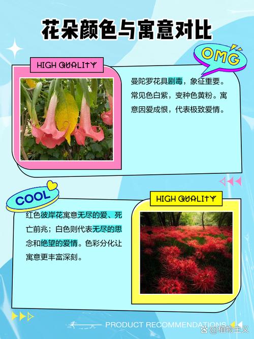 曼珠沙华是什么意思，曼珠沙华花语，曼珠沙华意味着什么？-第5张图片-优品飞百科