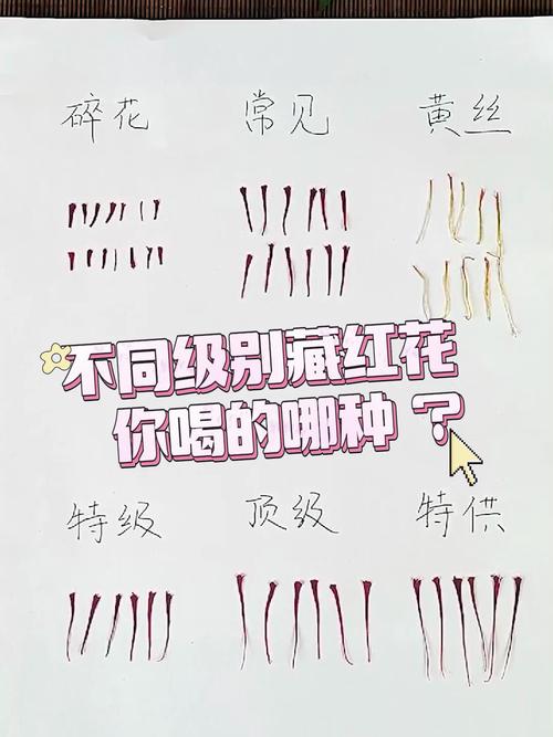 番红花和藏红花的区别，番红花和藏红花哪个好-第1张图片-优品飞百科