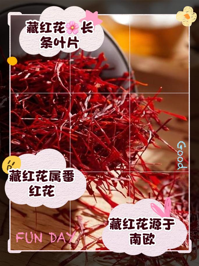 番红花和藏红花的区别，番红花和藏红花哪个好-第2张图片-优品飞百科