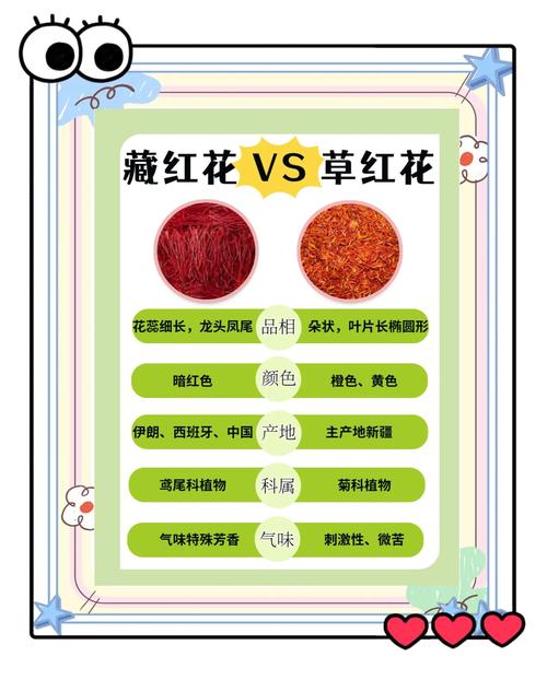 番红花和藏红花的区别，番红花和藏红花哪个好-第4张图片-优品飞百科