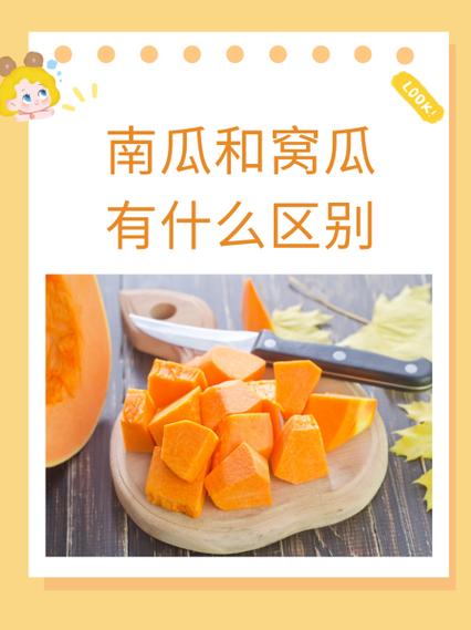 南瓜是窝瓜吗,窝瓜和南瓜有什么区别?窝瓜和南瓜区别在哪?-第2张图片-优品飞百科 南瓜是窝瓜吗,窝瓜和南瓜有什么区别?窝瓜和南瓜区别在哪?-第2张图片-优品飞百科