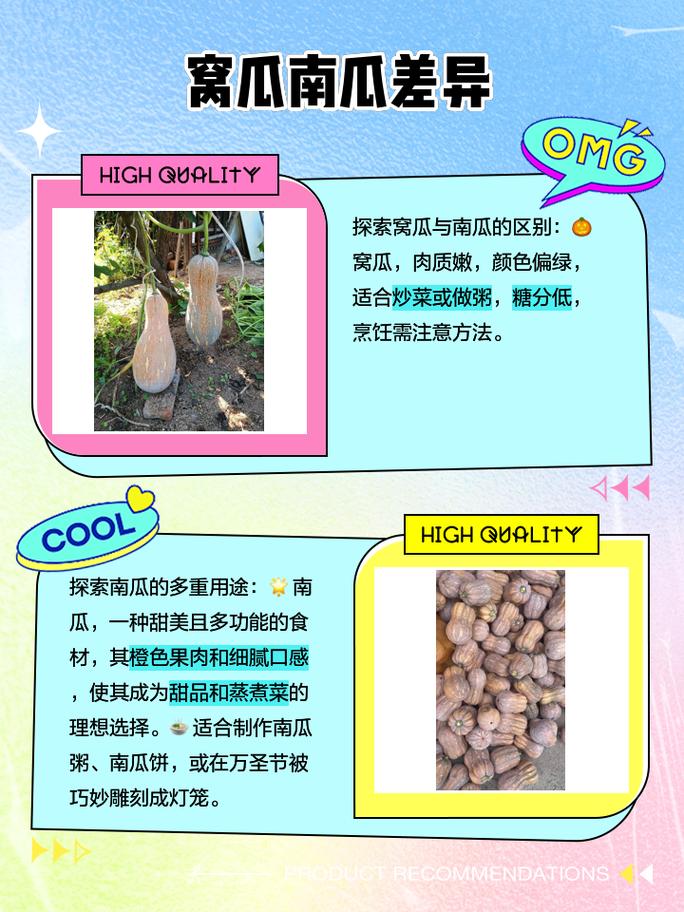 南瓜是窝瓜吗,窝瓜和南瓜有什么区别?窝瓜和南瓜区别在哪?-第3张图片-优品飞百科 南瓜是窝瓜吗,窝瓜和南瓜有什么区别?窝瓜和南瓜区别在哪?-第3张图片-优品飞百科