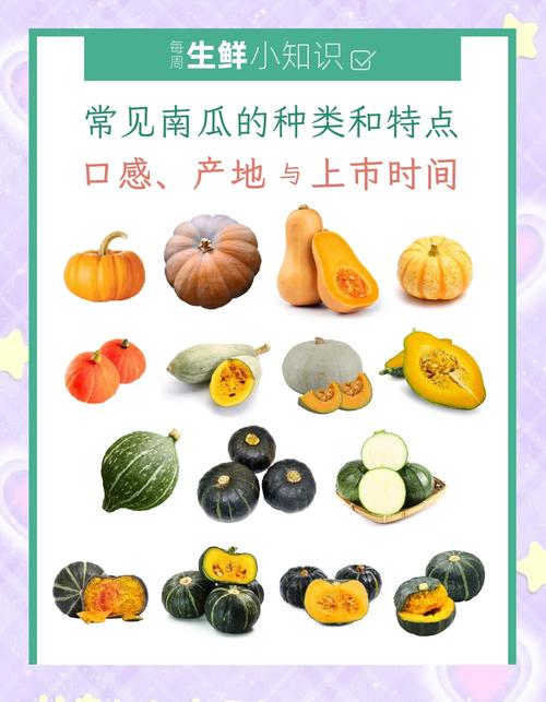 南瓜是窝瓜吗,窝瓜和南瓜有什么区别?窝瓜和南瓜区别在哪?-第4张图片-优品飞百科 南瓜是窝瓜吗,窝瓜和南瓜有什么区别?窝瓜和南瓜区别在哪?-第4张图片-优品飞百科