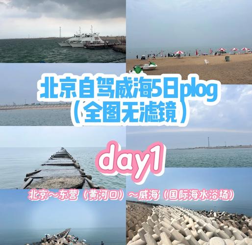 东营市天气预报？山东省东营市天气预报？-第3张图片-优品飞百科