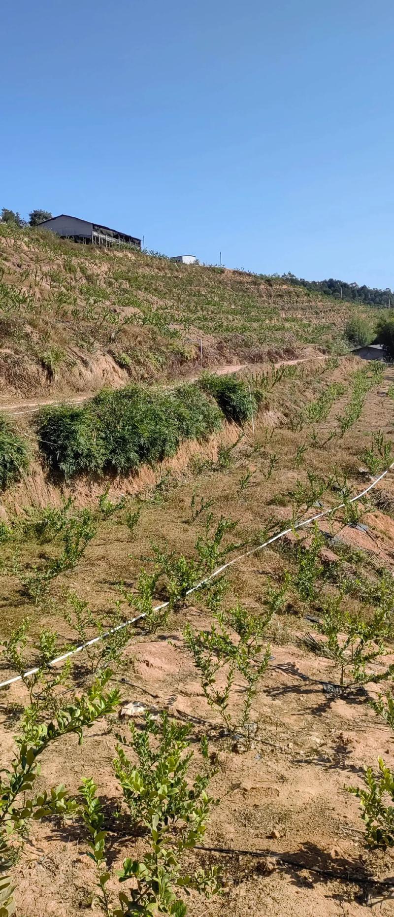 紫金天气预报,紫金天气预报15天准确一览表?-第4张图片-优品飞百科 紫金天气预报,紫金天气预报15天准确一览表?-第4张图片-优品飞百科