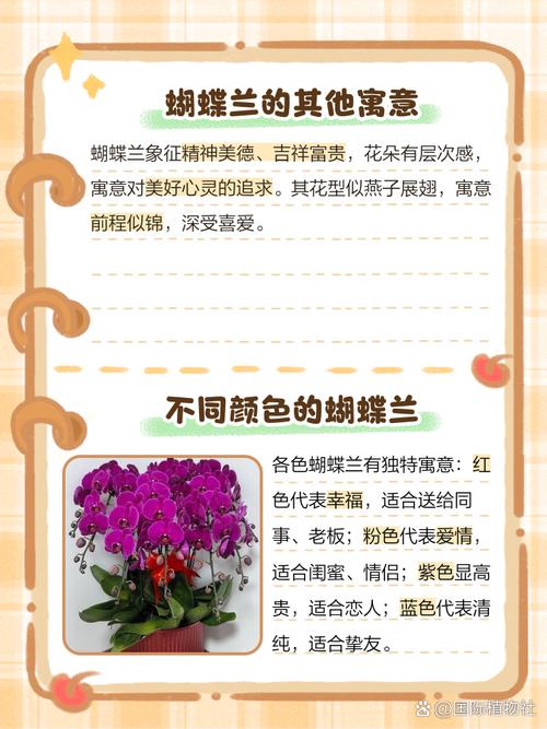 蝴蝶兰的花语，粉色蝴蝶兰的花语？-第3张图片-优品飞百科