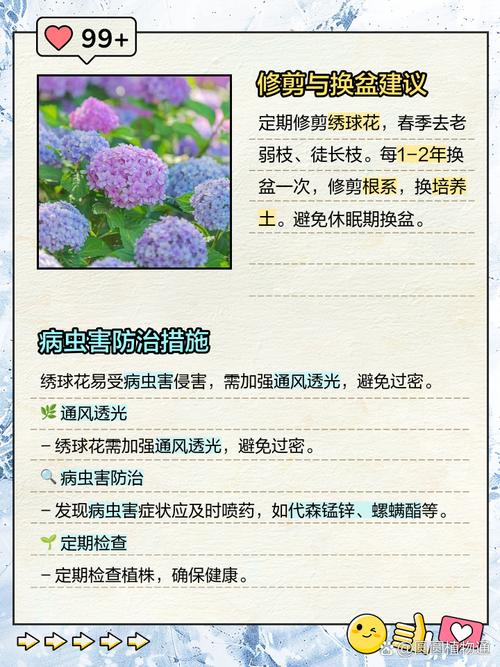 绣球花对孕妇有害吗，和洋绣球一样吗，绣球花对小孩有影响吗-第3张图片-优品飞百科
