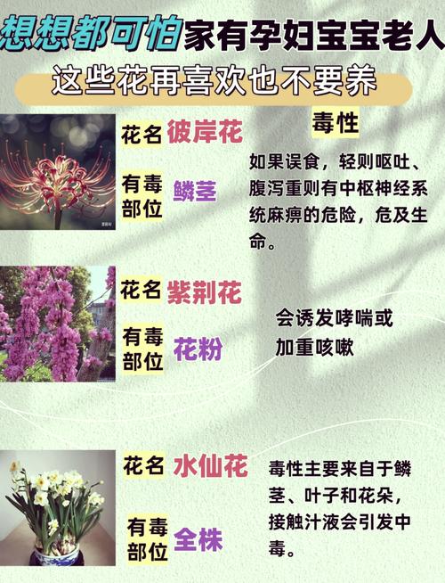 绣球花对孕妇有害吗，和洋绣球一样吗，绣球花对小孩有影响吗-第5张图片-优品飞百科