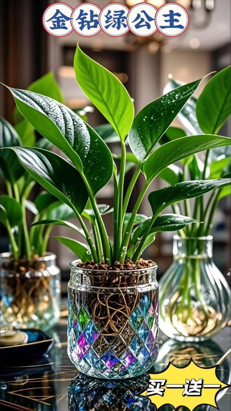 前十净化空气植物?前十净化空气植物适合室内养吗?-第3张图片-优品飞百科 前十净化空气植物?前十净化空气植物适合室内养吗?-第3张图片-优品飞百科