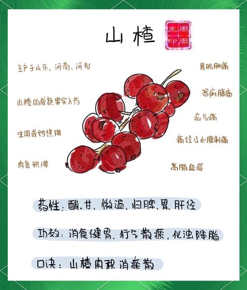 山楂的功效与作用，山楂干泡水喝有什么功效和作用？