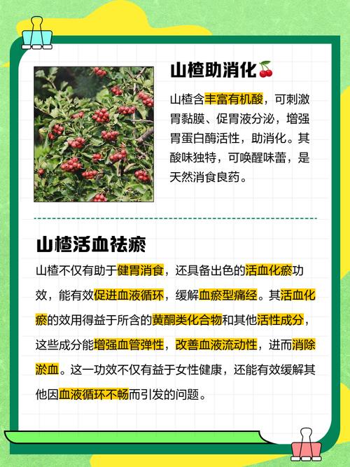 山楂的功效与作用，山楂干泡水喝有什么功效和作用？-第7张图片-优品飞百科